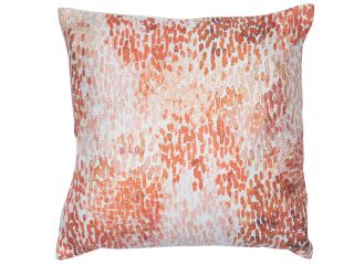 SCFP-TANVI-ORANGE