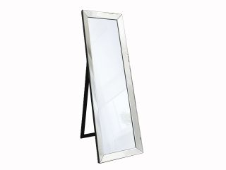 Zella cheval mirror 61x19