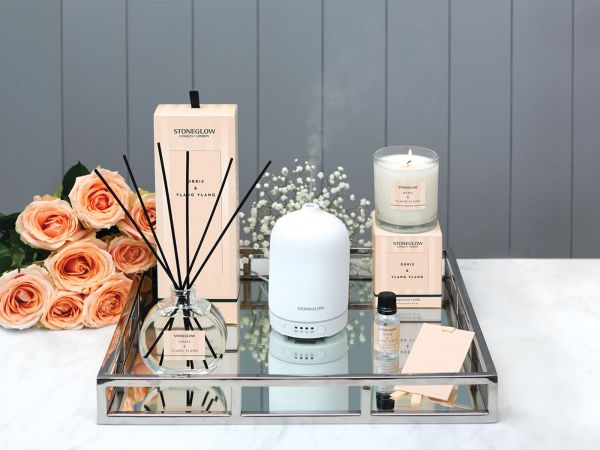 Modern Classics Scented Reed Diffuser (120ml) (Orris and Ylang Ylang)