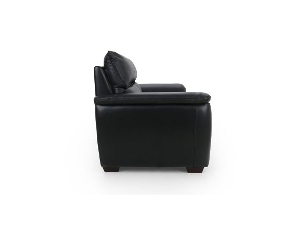 Idwal 2 seater sofa - type 35 leather/pu