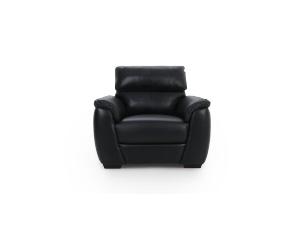 Idwal Chair - type 35 leather/pu