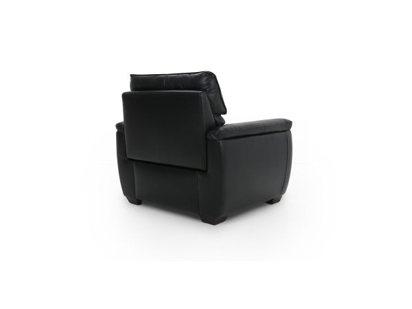 Idwal Chair - type 35 leather/pu