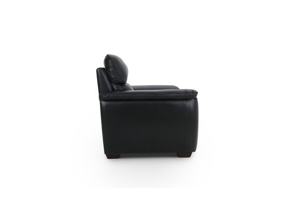 Idwal Chair - type 35 leather/pu