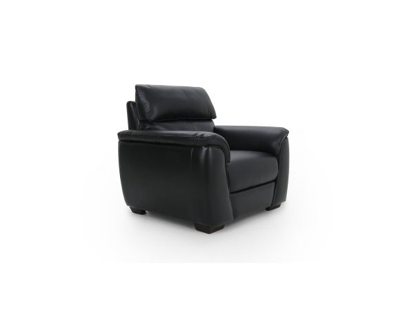 Idwal Chair - type 35 leather/pu