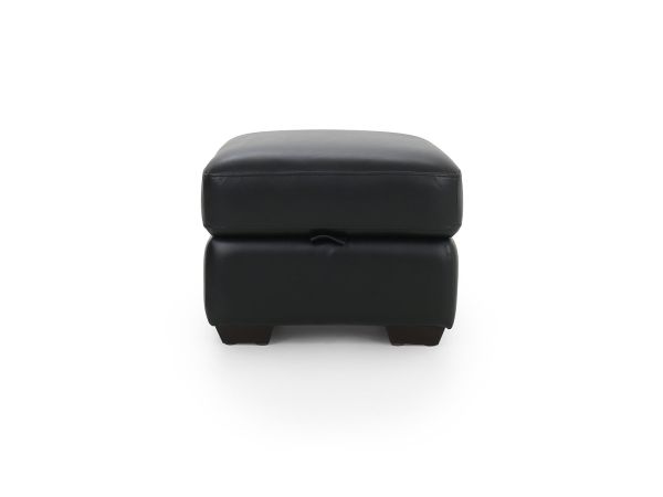 Idwal Footstool (storage) - type 35 leather/pu