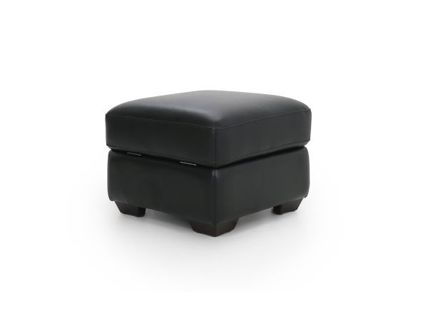 Idwal Footstool (storage) - type 35 leather/pu