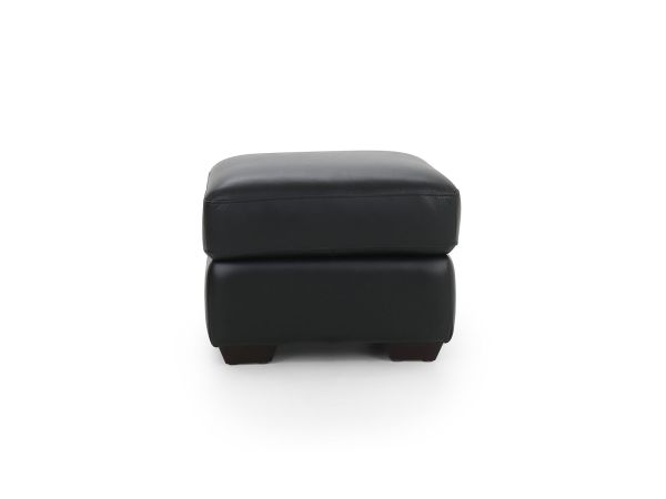 Idwal Footstool (storage) - type 35 leather/pu