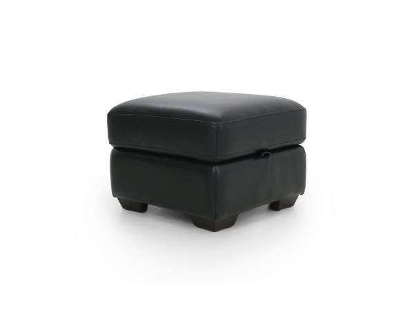 Idwal Footstool (storage) - type 35 leather/pu