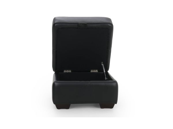 Idwal Footstool (storage) - type 35 leather/pu