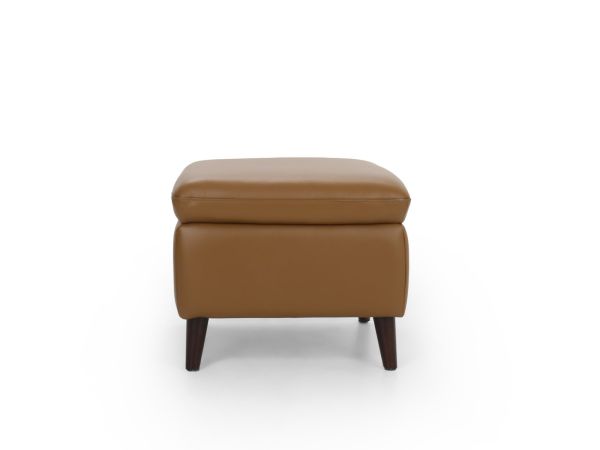 Hockney Footstool (storage) - type 40/S Leather