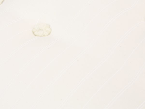 Orthocare Support King size mattress