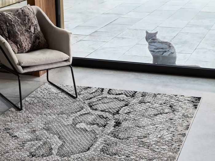 Quantum 120x170cm Rug QU03 Snake