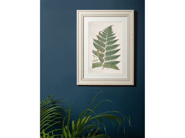 Pictures Wood Fern (A3 Ivory)