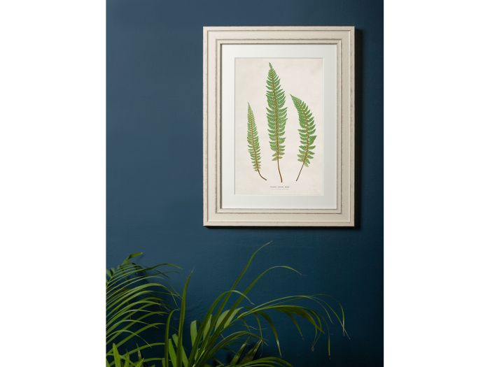 Pictures Prickly Fern (A3 Ivory)