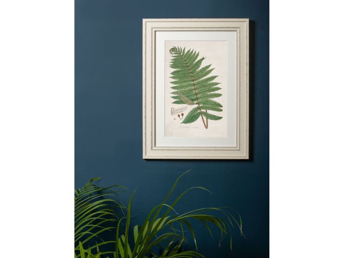 Pictures Australian Fern (A3 Ivory)