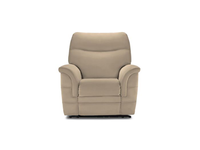 Hudson Leather Lift and tilt recliner chair (with dual motor) - type Leather