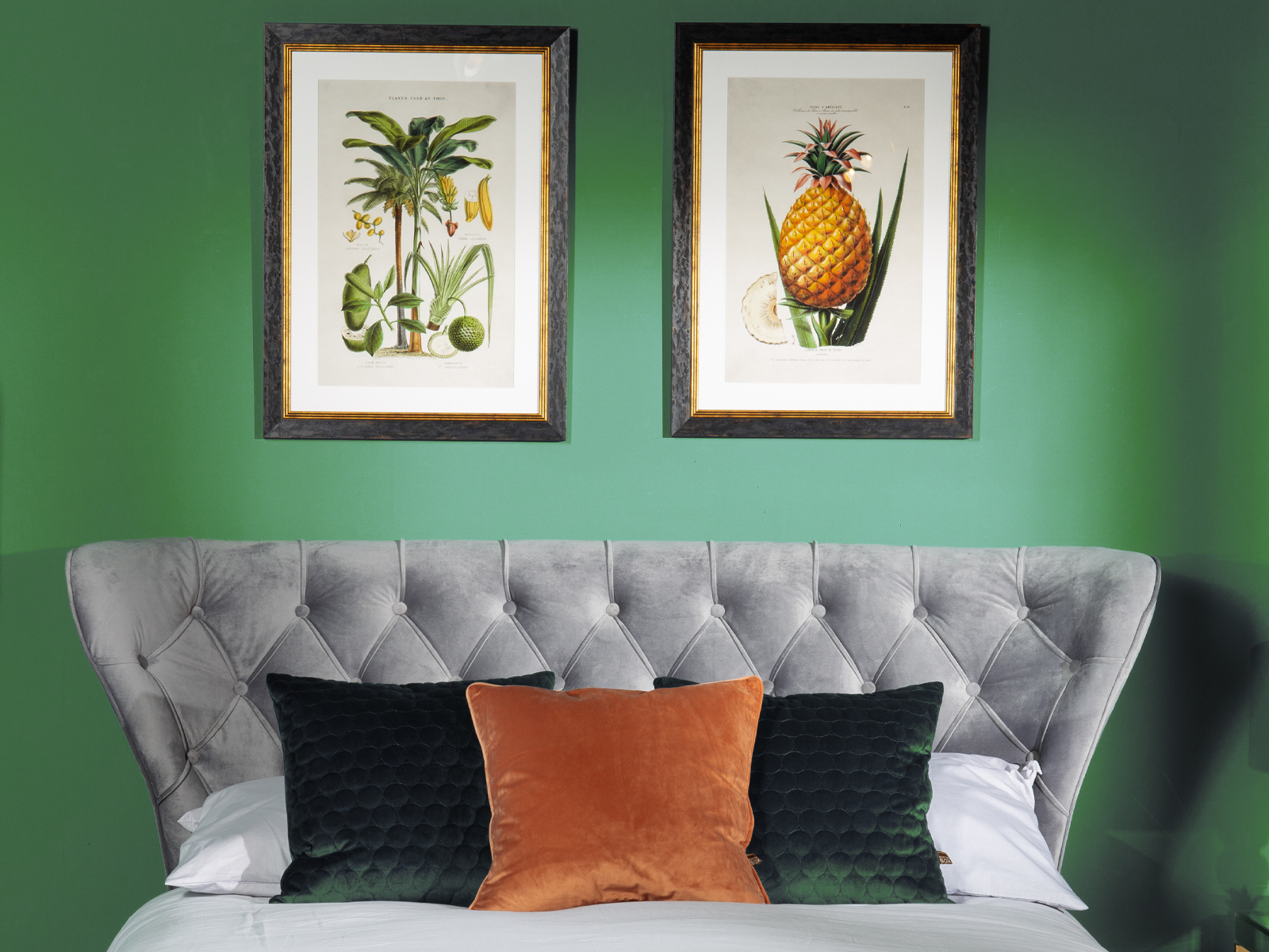 Belgrade Ottoman, and Pineapple Plant & Plants Used As Food pictures Belgrade_OrangeGreen
